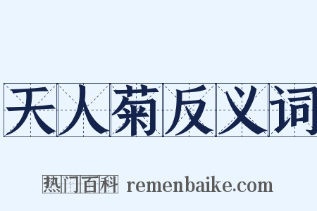 天人菊反义词是什么意思的图片